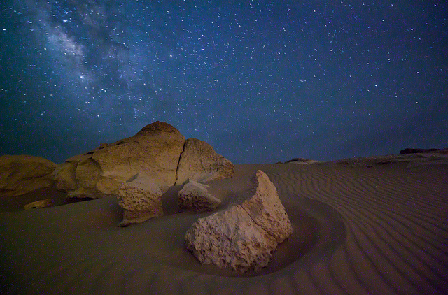 Letters from the Desert