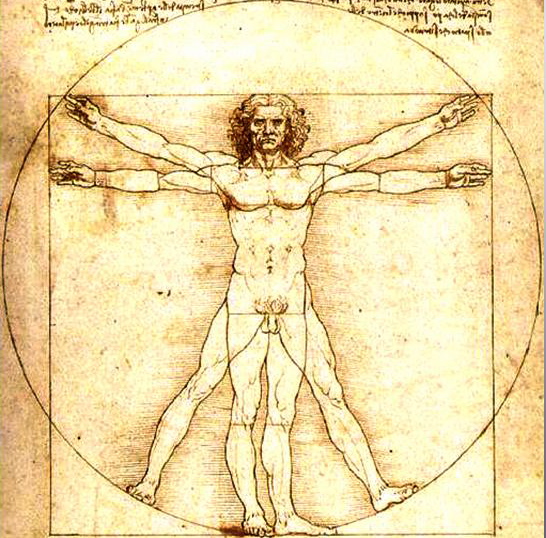 Vitruvian-Man-Leonardo-da-Vinci